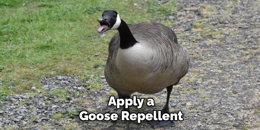 Apply a Goose Repellent