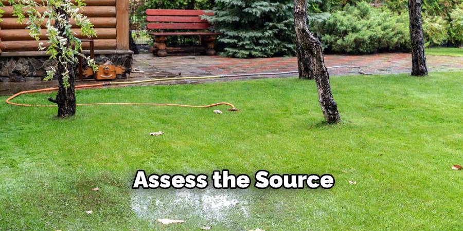 Assess the Source