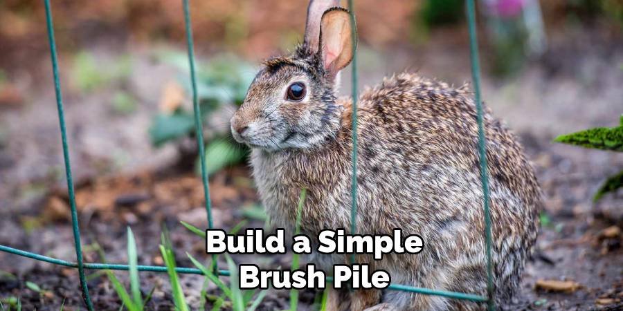 Build a Simple Brush Pile