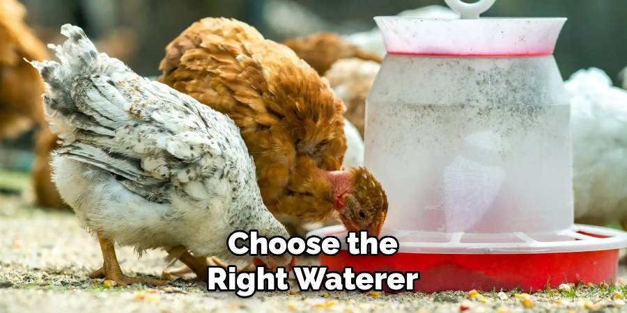 Choose the Right Waterer