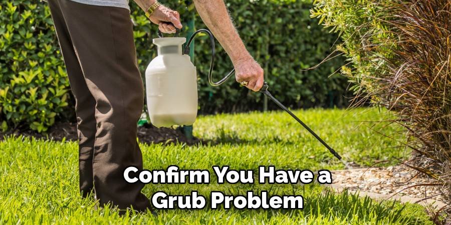 Confirm You Have a Grub Problem