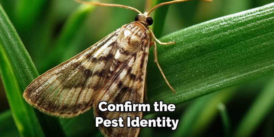 Confirm the Pest Identity