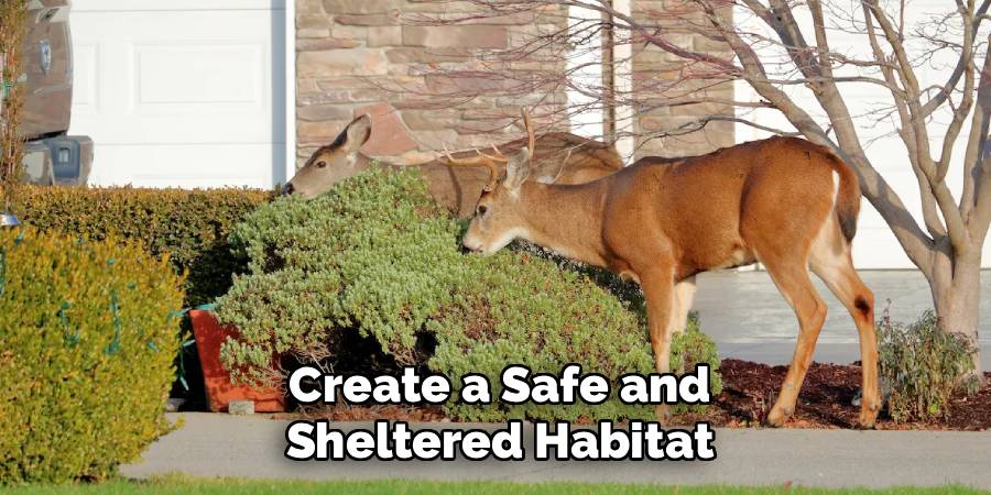 Create a Safe and Sheltered Habitat