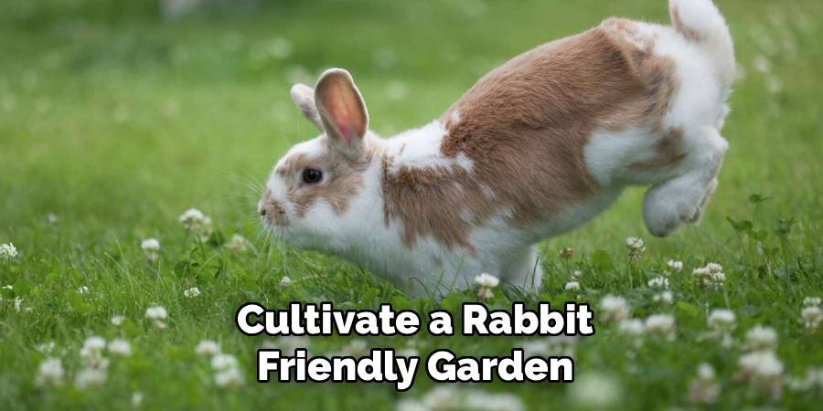 Cultivate a Rabbit-Friendly Garden