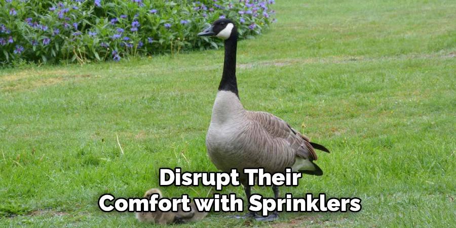 Disrupt Their Comfort with Sprinklers