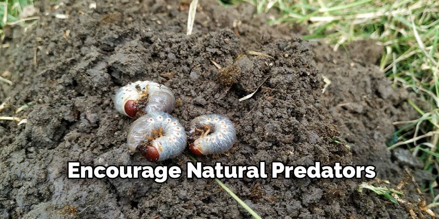 Encourage Natural Predators