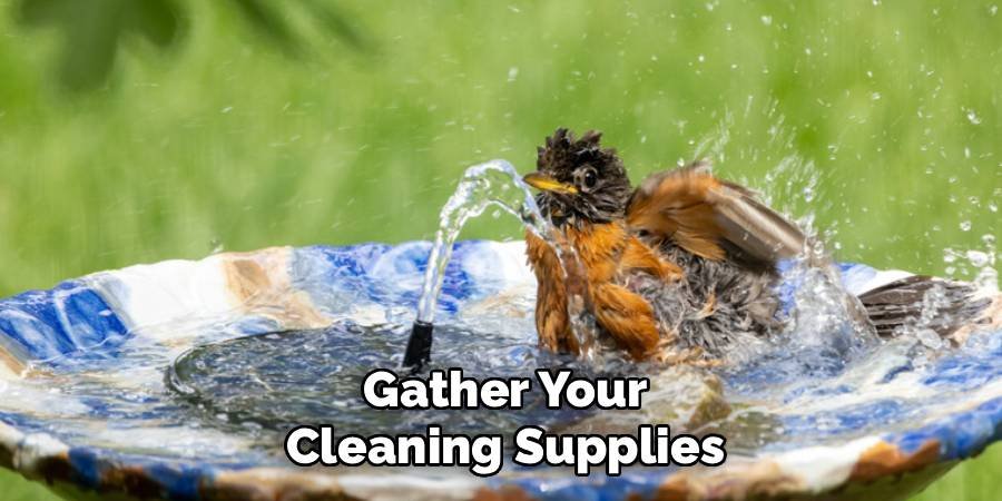 Gather Your Cleaning Supplies