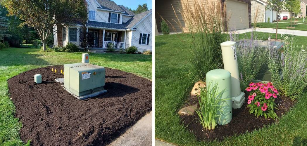 How to Hide Transformer Box in Your Yard