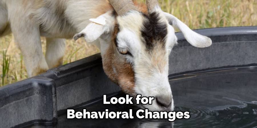Look for Behavioral Changes