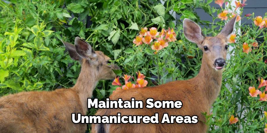 Maintain Some Unmanicured Areas