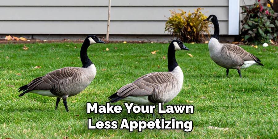 Make Your Lawn Less Appetizing