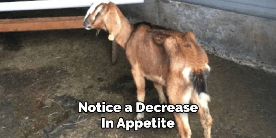 Notice a Decrease in Appetite