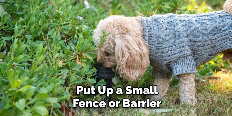 Put Up a Small Fence or Barrier
