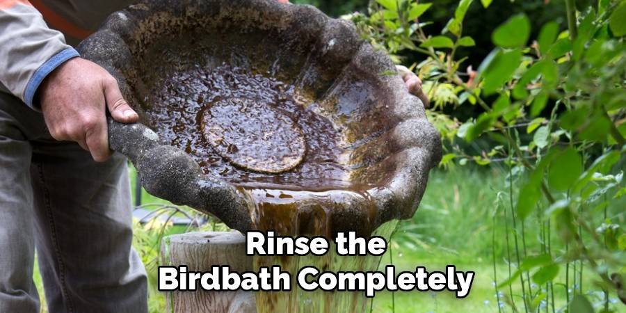 Rinse the Birdbath Completely