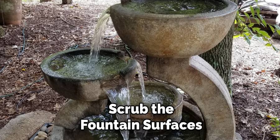 Scrub the Fountain Surfaces
