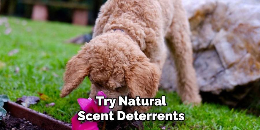 Try Natural Scent Deterrents