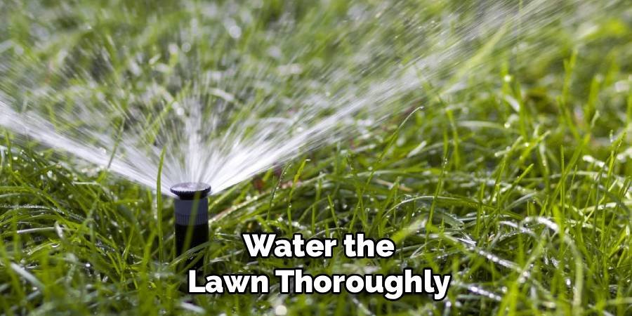 Water the Lawn Thoroughly
