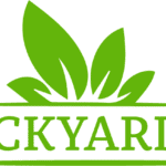 Backyardik logo