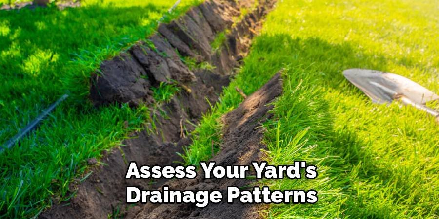 Assess Your Yard's Drainage Patterns