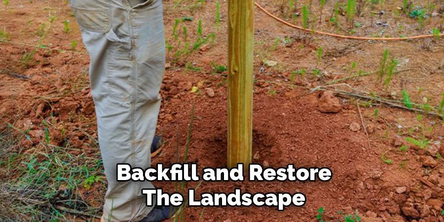 Backfill and Restore the Landscape