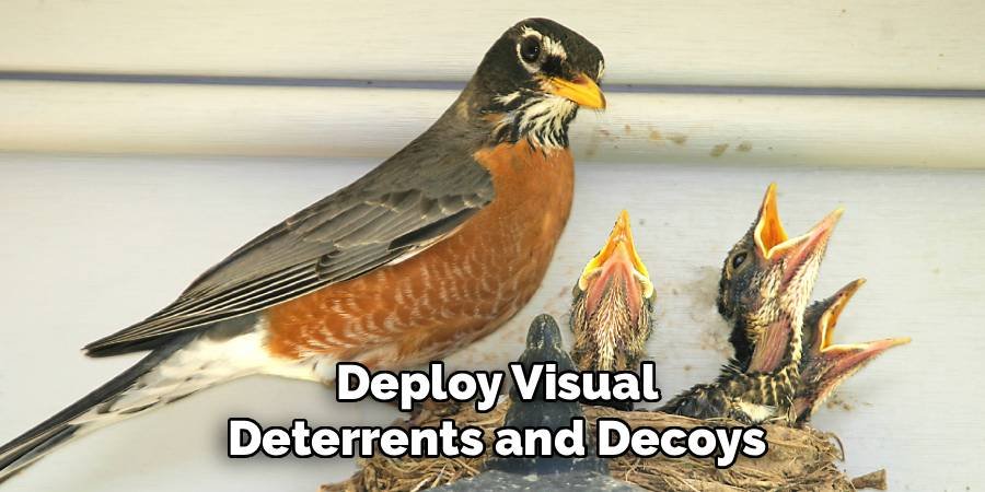 Deploy Visual Deterrents and Decoys