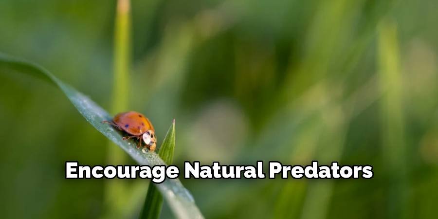 Encourage Natural Predators