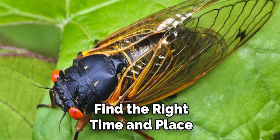 Find the Right Time and Place