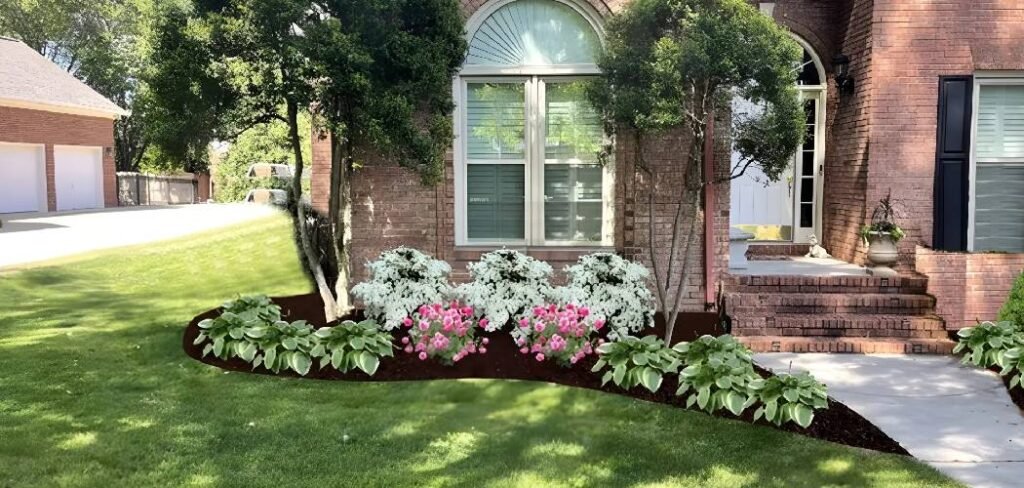 How to Prevent Muddy Backyard