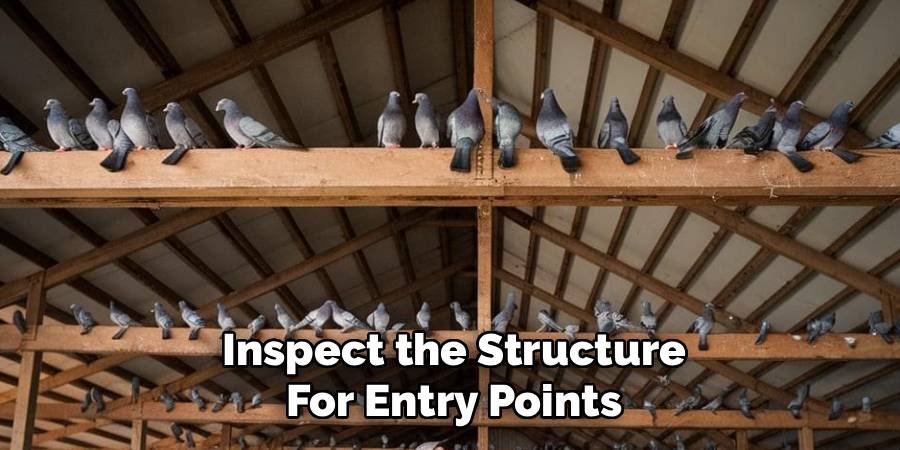 Inspect the Structure for Entry Points