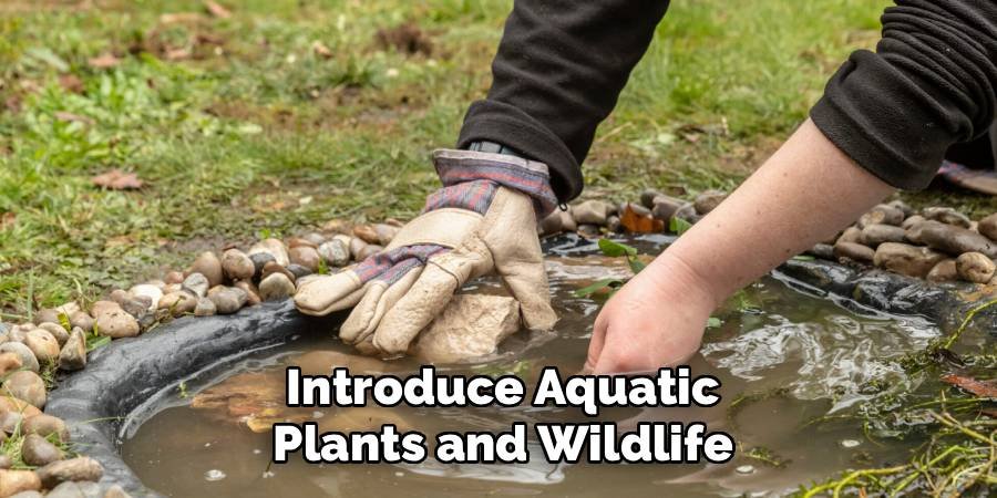 Introduce Aquatic Plants and Wildlife
