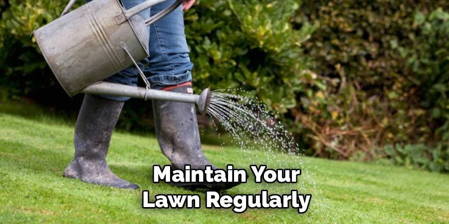 Maintain Your Lawn Regularly