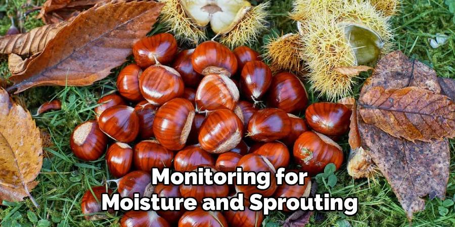 Monitoring for Moisture and Sprouting