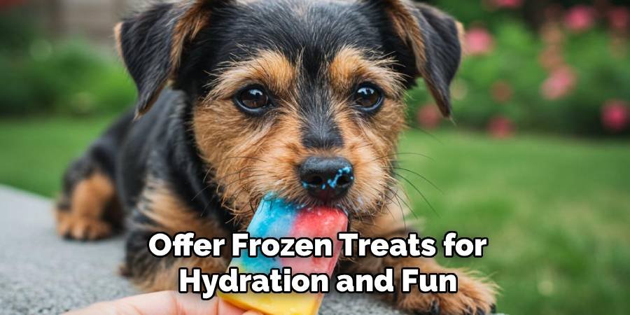 Offer Frozen Treats for Hydration and Fun