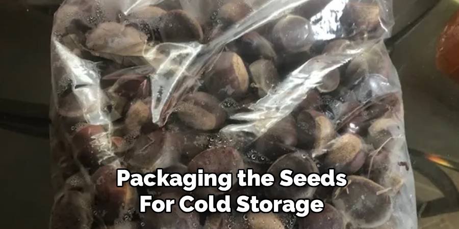 Packaging the Seeds for Cold Storage