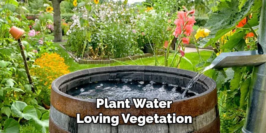 Plant Water-Loving Vegetation