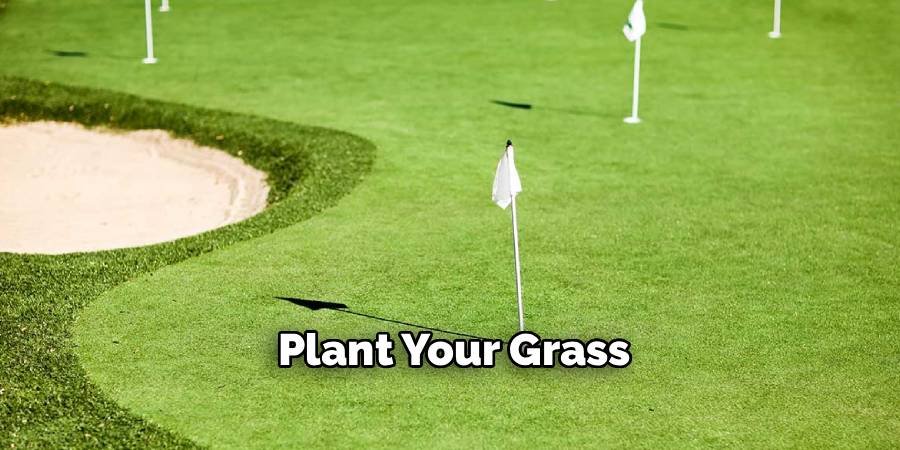 Plant Your Grass