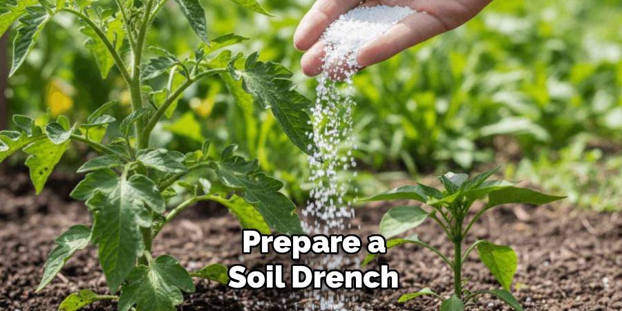 Prepare a Soil Drench