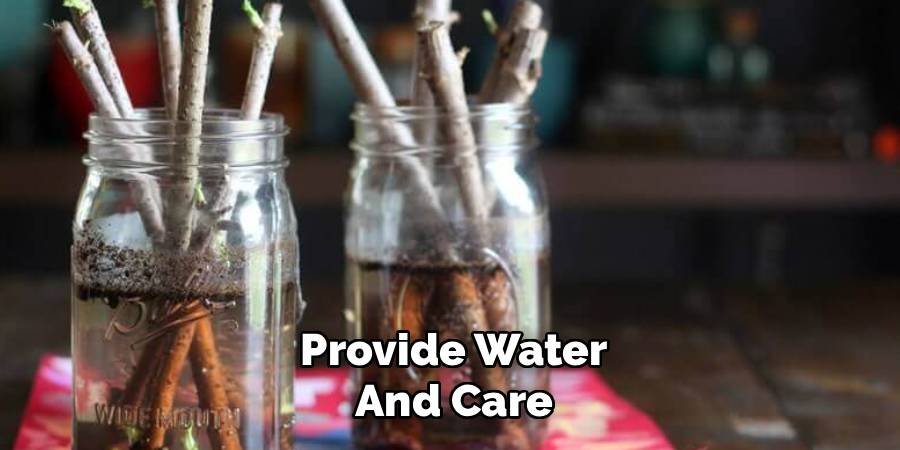 Provide Water and Care