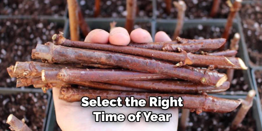 Select the Right Time of Year