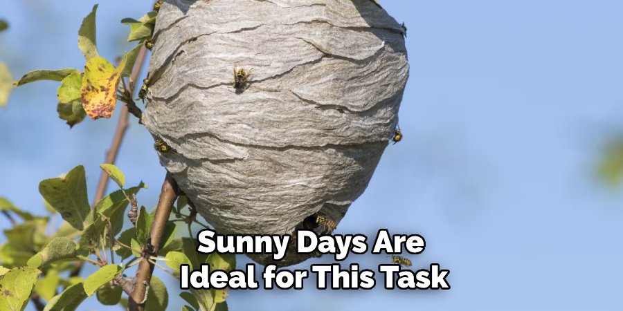 Sunny Days Are
Ideal for This Task