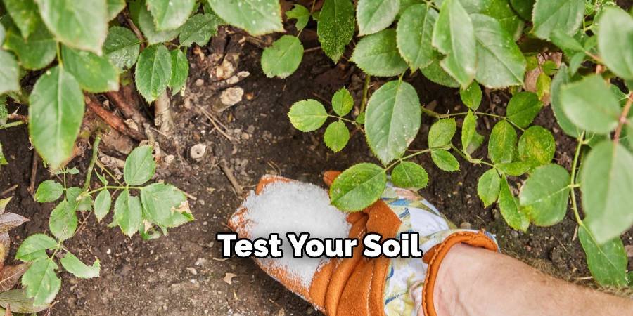 Test Your Soil