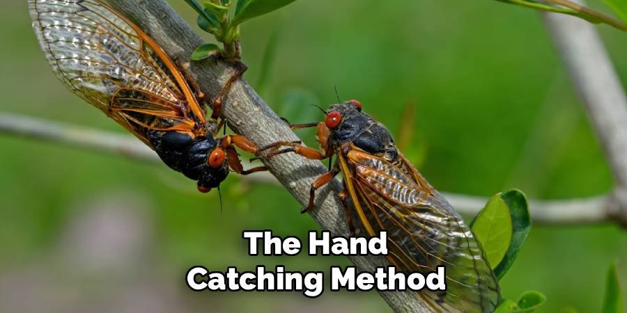 The Hand-Catching Method