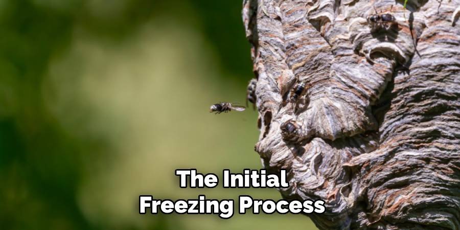 The Initial Freezing Process