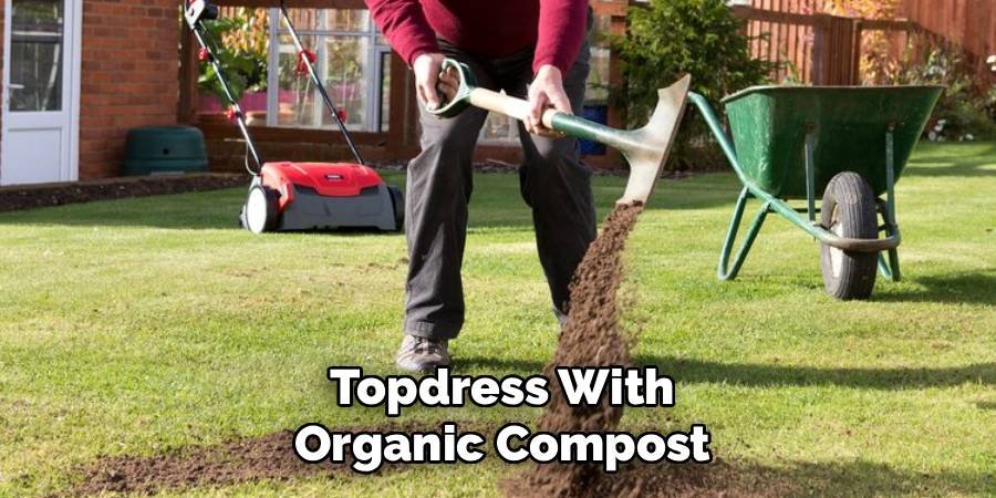Topdress With Organic Compost
