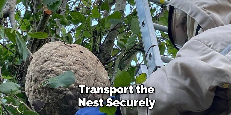 Transport the Nest Securely