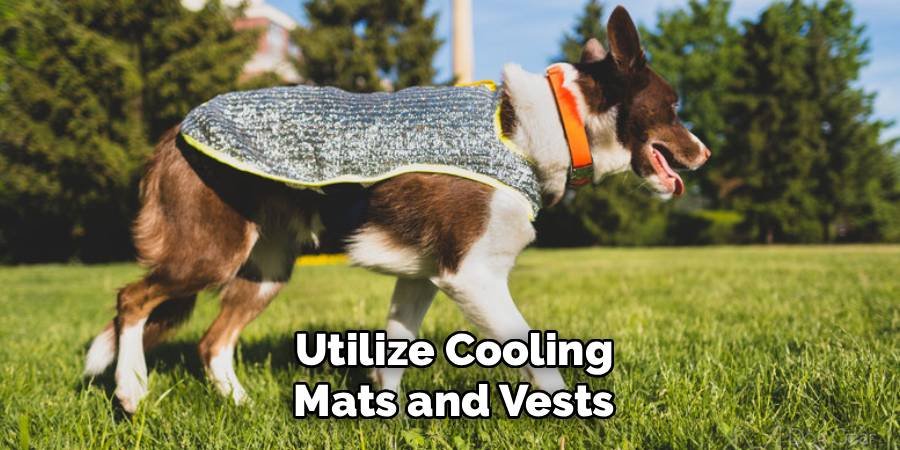 Utilize Cooling Mats and Vests