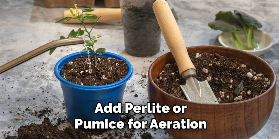 Add Perlite or Pumice for Aeration