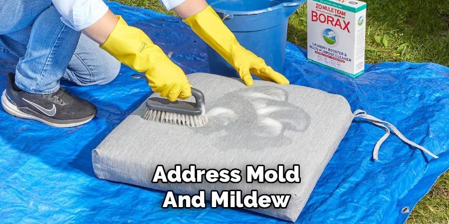 Address Mold and Mildew