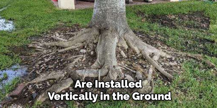 Are Installed
Vertically in the Ground