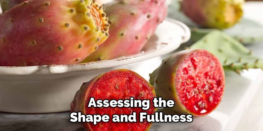 Assessing the Shape and Fullness